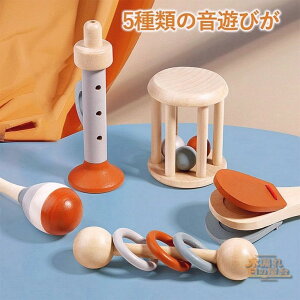 知育玩具 木のおもちゃ 出産祝い プレゼント 赤ちゃん メロディーゴーラウンド 誕生日 1歳 男 室内 遊び おもちゃ 誕生日プレゼント 男の子 女 2歳 女の子 1歳半 一歳