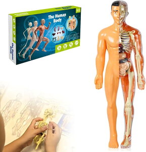 3D l̓̃f - DIY XPg qwKAUwfwK