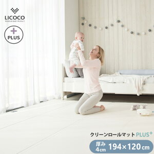 vC}bg V[X N[[}bg PLUS 194×120 xr[  NbV}bg [}bg Ԃ q LbY }bg tA[}bg m zAfqh Z[teB[ 