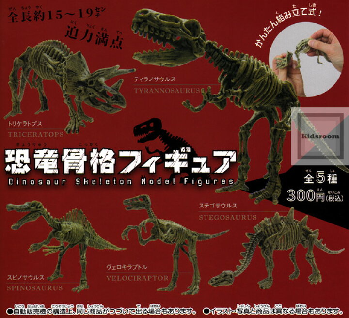 楽天市場 コンプリート 恐竜骨格フィギュア Dinosaur Skeleton Model Figures 全5種セット キッズルーム