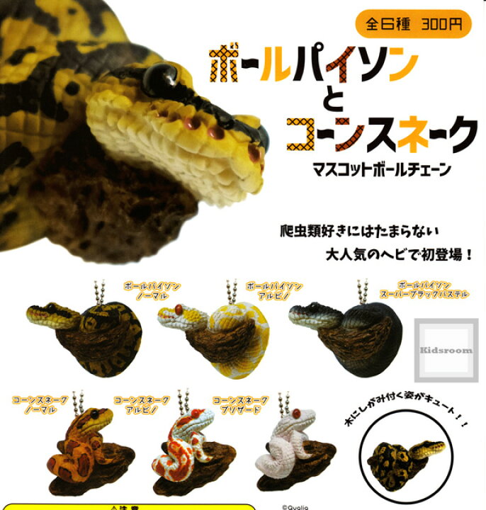 楽天市場 コンプリート ボールパイソンとコーンスネーク マスコットボールチェーン 全6種セット キッズルーム 楽天市場 コンプリート ボールパイソンとコーンスネーク マスコットボールチェーン 全6種セット キッズルーム