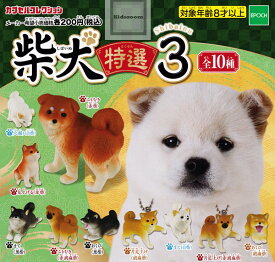 楽天市場 犬 穴掘りの通販