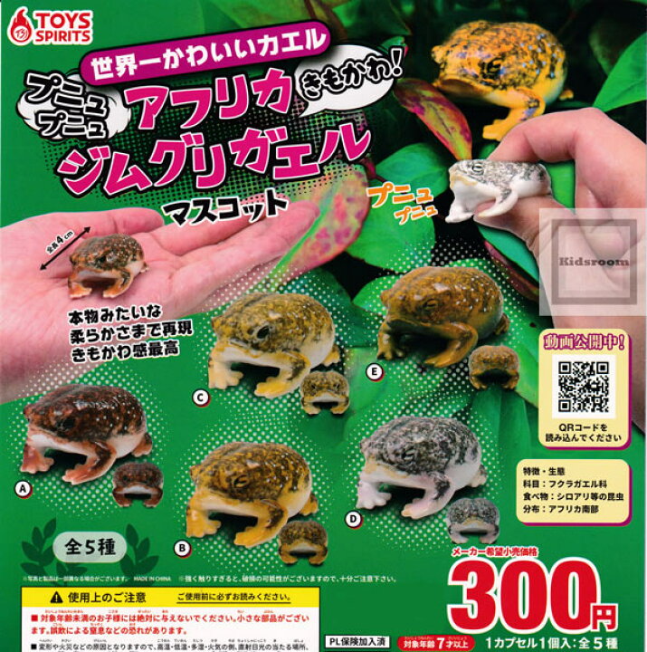 楽天市場 コンプリート 世界一かわいいカエル きもかわ アフリカジムグリガエルマスコット 全5種セット キッズルーム