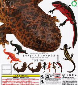楽天市場 イモリとオオサンショウウオ マグネット ボールチェーンの通販