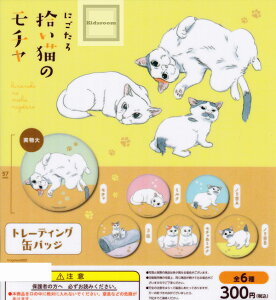 yRv[gzɂ EL̃` g[fBOʃobW S6Zbg