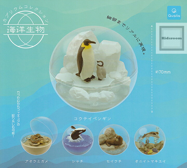 楽天市場】【再販】【コンプリート】カプリウムコレクション 海洋生物  