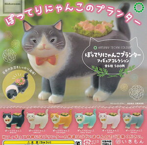 yRv[gzA[gjueNjJ[ ۂĂɂ񂱃v^[tBMARNV S6Zbg