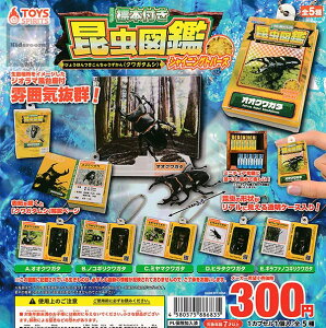 【コンプリート】ミニチュア標本付き昆虫図鑑マスコット クワガタムシ シャイニングトパーズ ★全5種セット