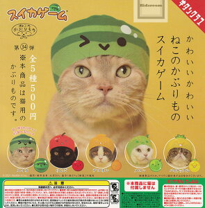 yRv[gz킢킢˂̂Ԃ XCJQ[ S5Zbg