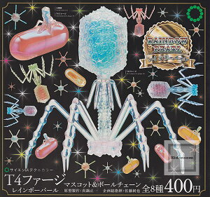 yPizTCGXeNjJ[ T4t@[W C{[p[ }XRbg{[`F[