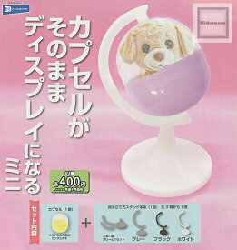 【カラーランダム】カプセルがそのままディスプレイになるミニ ★全3種セット