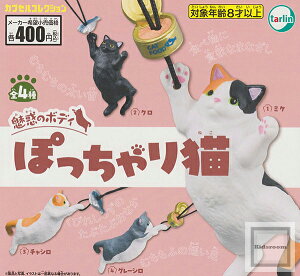 yRv[gzf̃{fB ۂL S4Zbg