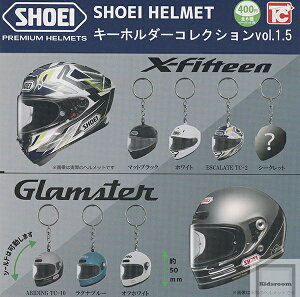 yPizSHOEI HELMET L[z_[RNVVol.1.5