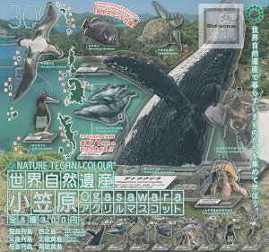 yRv[gzlC`[eNjJ[ ERY } AN}XRbg S8Zbg