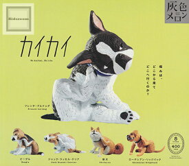 【コンプリート】カイカイ ★全5種セット