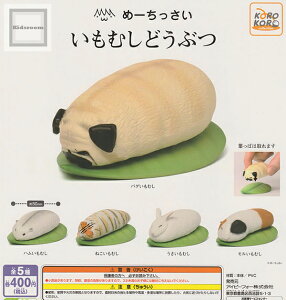 yRv[gz߁[ ނǂԂ S5Zbg