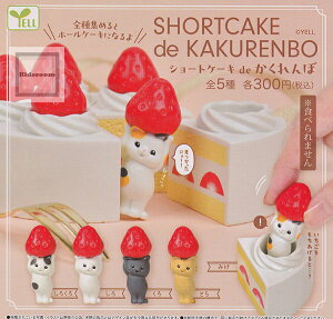 yRv[gzV[gP[L de  S5Zbg