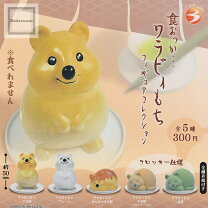 楽天市場】わらびーちゃんの通販