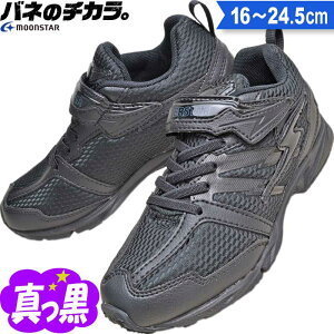 [X^[ LbY Xj[J[  XN[V[Y ol̃`J C  WjA ʊwC ^C ʊw j̎q ̎q jq q qC q C w w X[p[X^[ SS J755 