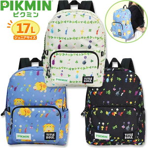 LbY WjA bN sN~ Ib` PIKMIN bNTbN fCpbN obN BAG  Cws ʊw j̎q ̎q w wZ 17bg 17L q LN^[ A4 TITLE ROLE ^Cg