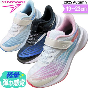 u ̎q 2.5E Xj[J[ LbY WjA qC L r x w wj w ʊwC ʊw q C }WbNe[v ʋC a v[g bsO NX}X Mtg LEJ