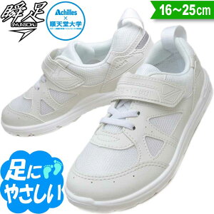 2026NtɐYII u 㗚 C ̈كV[Y w   wZw  Xj[J[ ΂ q C ALX  SKI 0017 (CI-001) zCg 16`25