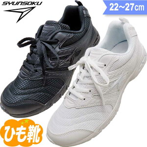 u Xj[J[ LbY WjA Xj[J[  w  ʊw ʊwC ^C C l j̎q ̎q  w wj qC q C Ђ r x 2E a SJJ0950 (JJ-095) 22 22.5