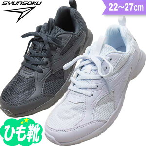 }\ Ԍ艿i u Xj[J[ LbY WjA Xj[J[  w  ʊw ʊwC ^C C l j̎q ̎q  w wj qC q C Ђ r 