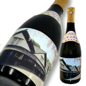 n Rq đ 쌳 720ml yyMt_̂zyyMt_bŹzyR`z