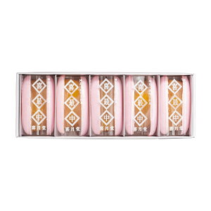 쌎/ŒI/5 N 䒆 ~ hV̓ ފ Ε o^Cf[@zCgf[@̓@̓@Mtg v[g i  yY AȓyY I