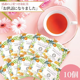 和紅茶 ティーバッグ プチギフト 個包装 感謝の言葉つき 「お世話になりました」10個入り 送料無料 メール便 ポスト投函きごころ プレゼント 新生活 退職 異動 転勤 転職 引越し ご挨拶 紅茶 国産 お茶 リラックス ティーパック メッセージ入り食品 おしゃれ 水出し 2024