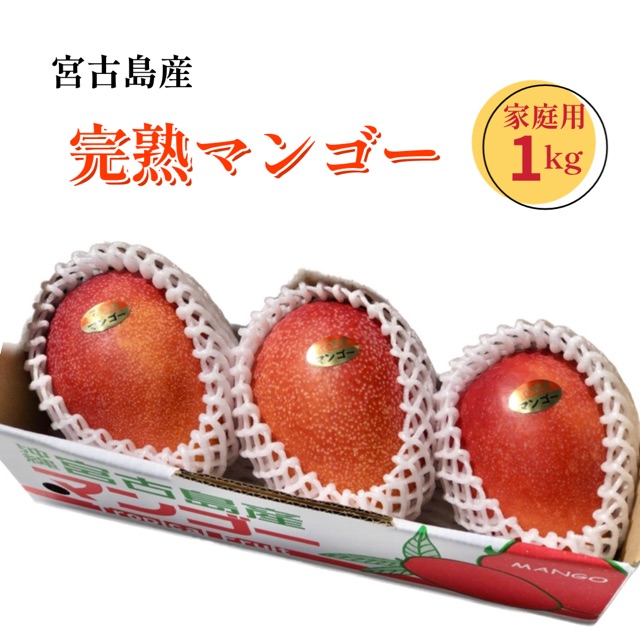 沖縄県産完熟マンゴー　4キロ　ちょっぴりきずあり