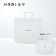 お中元 父の日 ギフト 2026 2026 人気 おしゃれ 高級 かわいい(6)進物用手提 中