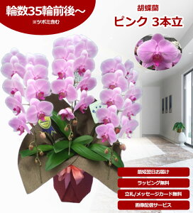 �y�y�V1��/�ŒZ�����ɓ͂��z��֌Ӓ��� 3�{�� 35�֑O��` �̎������s�\ �Y�n���� ���b�s���O�E���D���� ��ĕ��p���t���b�g�t TV�Љ� ������� �R�`���E���� ���� �J�X�j�� ���j�� �� �a��