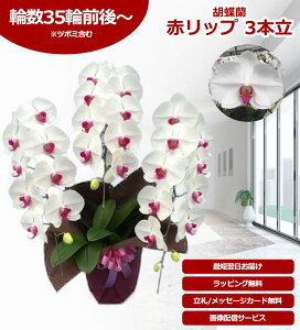 yyV1/ŒZɓ͂z֌Ӓ 3{ 35֑O` ̎s\ Yn bsOED ĕptbgt TVЉ  R`E  JXj j  a