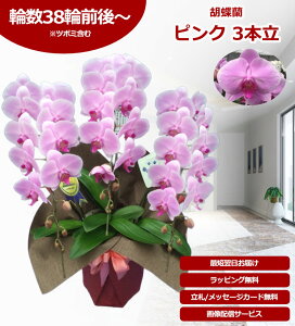 y|Cg10{I/ŒZɓ͂z֌Ӓ 3{ 35`38֑O ̎s\ Yn bsOED ĕptbgt TVЉ  R`E  JXj j