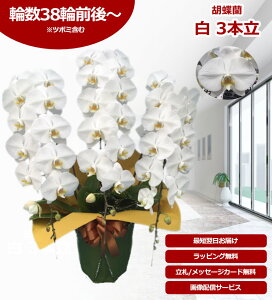 yyV1/ŒZɓ͂z֌Ӓ 3{ 38֑O` ̎s\ Yn bsOED ĕptbgt TVЉ  R`E  JXj j  a