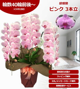 yyV1/ŒZɓ͂zz֌Ӓ 3{ 40֑O` ̎s\ Yn bsOED ĕptbgt TVЉ  R`E  JXj j  a