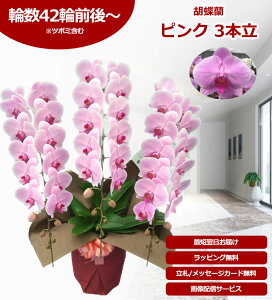 yyV1/ŒZɓ͂zӒ 3{ 27֑O` ̎s\ Yn bsOED ĕptbgt TVЉ  R`E  JXj j  a 