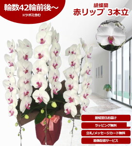 y|Cg10{I/ŒZɓ͂z֌Ӓ 3{ 42֑O` ̎s\ Yn bsOED ĕptbgt TVЉ  R`E  JXj j 