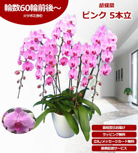 �y�y�V1��/�ŒZ�����ɓ͂��z��֌Ӓ��� 5�{�� 60�֑O��` �̎������s�\ �Y�n���� ���b�s���O�E���D���� ��ĕ��p���t���b�g�t TV�Љ� ������� �R�`���E���� ���� �J�X�j�� ���j�� �� �a��