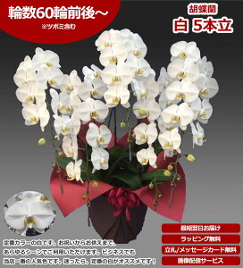 yɓ͂zy̓zӒ̔̔ yV1 y ֌Ӓ5{ 60֑Oォ Ӓ JXj Ӓ5{ JXj R`E Ӓ  j j JXj 