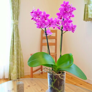 y̓MtgzJWAӒ(R`E)uin your roomvDouble(2{)~jE~fB}CNӒ _uyy_Nxzyzj z