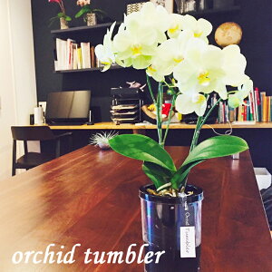 y̓MtgzEW!Ŗm̃~fBӒ^u[|bg2{j z