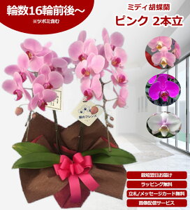 yyV1/ŒZɓ͂z~fBӒ 2{ ̎s\ Yn bsOED ĕptbgt TVЉ  R`E  JXj j  a җ