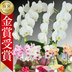 yyV1/ŒZɓ͂z~fBӒ 2{ ̎s\ Yn bsOED ĕptbgt TVЉ  R`E  JXj j  a җ