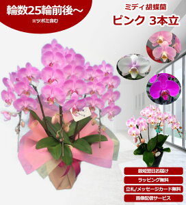 y_ѐYb/yz~fBӒ 3{ 25ֈȏ ̎s\ Yn bsOED ĕptbgt TVЉ  R`E  JXj j  a