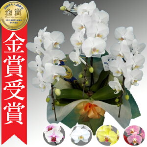 y_ѐYb/yz~fBӒ 3{ 25ֈȏ ̎s\ Yn bsOED ĕptbgt TVЉ  R`E  JXj j  a