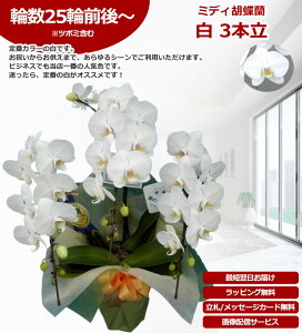 y_ѐYb/yz~fBӒ 3{ 25ֈȏ ̎s\ Yn bsOED ĕptbgt TVЉ  R`E  JXj j  a