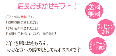 ☆洋蘭おまかせ3,000円ファレノプシス(胡蝶蘭)ミニマイクロ胡蝶蘭ミディ花誕生日激安胡蝶蘭フラワー【HLS_DU】【楽ギフ_包装選択】【楽ギフ_メッセ】【楽ギフ_メッセ入力】
